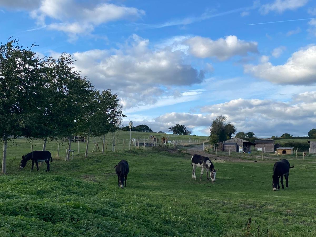Fairview Farm Holiday Accommodation 14 Luxury Lodges, Cabins, Dog Friendly, Suitable For Couples, Families And Groups, Wedding Guests , Corporate Events, Sleeps 2-65 Guests In Ravenshead, Nottingham Near Sherwood Forest, Set In 88 Acres מראה חיצוני תמונה