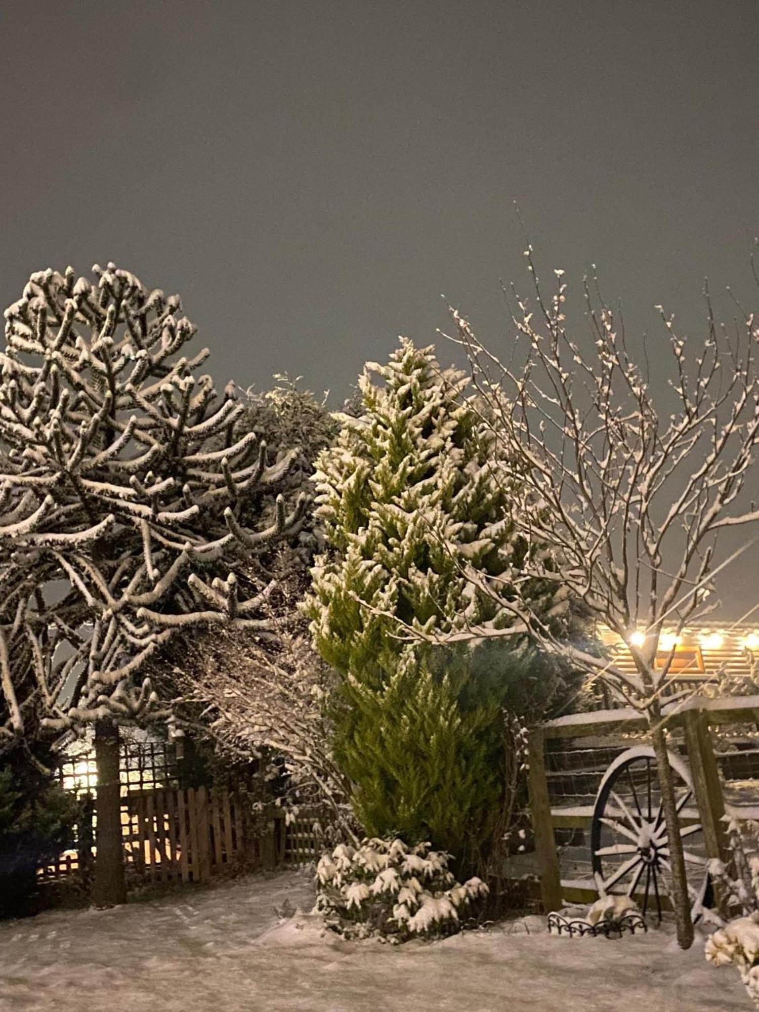 Fairview Farm Holiday Accommodation 14 Luxury Lodges, Cabins, Dog Friendly, Suitable For Couples, Families And Groups, Wedding Guests , Corporate Events, Sleeps 2-65 Guests In Ravenshead, Nottingham Near Sherwood Forest, Set In 88 Acres מראה חיצוני תמונה